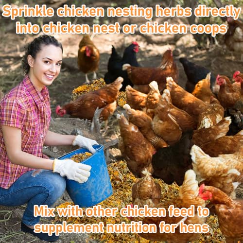 MAQIHAN 10oz Chicken Nesting Herbs - Dried Herbs Supplement for Laying Hens | Natural Chicken Treats for Nutritious Feeding, Comfortable Bedding Supplies for Nesting Pad & Box, Chicken Coop Accessories - size: 10 Ounce (Pack of 1)