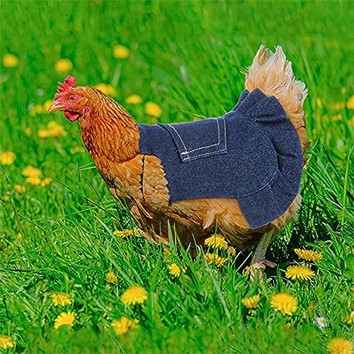 5 Pcs Chicken Saddle Hen Apron with Elastic Straps Denim Hen Feather Protector Jacket Hen Care Supplies