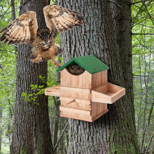 Screech Owl House with Feeder, Owl Box with Bird Stand Design | Nesting Box Wood with Mounting Screws, Cozy House for Lovely Birds, Easy Assembly Required - color: Green B