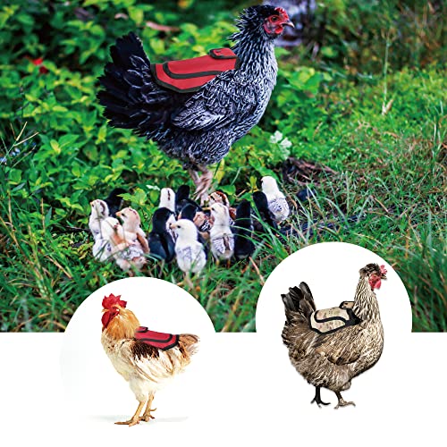 Chicken Saddle for Hens, 4 Pack Chicken Apron With Adjustable Strap, Protective Poultry Clothes for Chickens, Feather Protector for Back and Sides