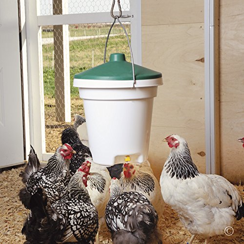 Premier 1 Bucket Nipple Waterer for Chickens & Poultry | 3 recessed nipples keep reservoir clean. Hangs via included adjustable cord. For 35 adult birds & waterfowl. 3-gallon, 15"H.