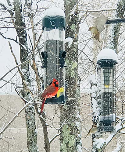 Brome Mega 600 Bird Feeder – Large Capacity Tube Feeder for Wild Birds, 6 Feeding Ports, 4 lb Seed Capacity, Easy to Clean, Metal Ports, Extendable Perches | Six metal ports, extendable perches, easy cleaning