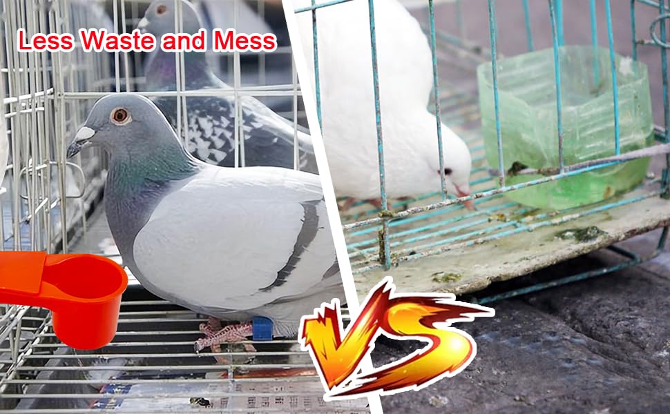 10 Pcs Bird Drinker Feeder Plastic Soda Pop Water Bottle Cup Pigeon Water Bottle Feeder for Cage for Chicken Pigeons Birds (Plastics, 10pcs)