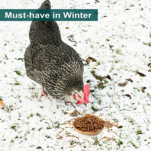 6LBs Non-GMO Dried Mealworms,High-Protein Larvae Treats Feed Molting Supplement for Birds Hens Ducks etc,Large Bulk Meal Worms Birds Chicken Food