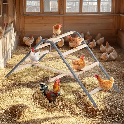 PETSFIT Chicken Perch, Solid Wood & Rustproof Iron Roosting Bar with Swing | Fits 10-12 Chickens, Promotes Natural Exercise, Easy to Assemble and Clean, Backyard Coops and Farms, All-Weather Outdoor Use - size: 62"Lx24"Wx28"H