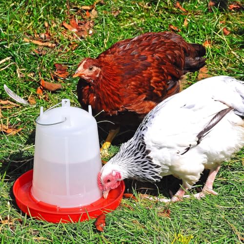 Pickmesh 2 Pcs 1 Gallon Plastic Poultry Drinker Poultry Waterer Automatic Chicken Water Feeder Fed Water Container Jar for Duck Baby Chicks Rabbit Turkeys Outdoor Farm - size: 1 Gallon