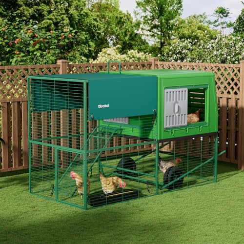 Durable Plastic Tall Chicken Coop with Run Outdoor - Portable Easy Assembly Chicken House with Insulated Besting Boxes, Waterproof Cover, Clean Drawer, Mobile Wheels (Standard) - size: Standard
