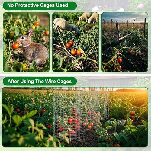 winemana 12 Set Plant Protectors from Animals, Plant Cages for Outdoor | 36 Pcs 16x12 IN Metal Wire Plant Protector with Stakes Nylon Ties to Keep Rabbit Chicken Away from Tomato Flower Vegetables - color: Silver, size: 16 IN x12 IN