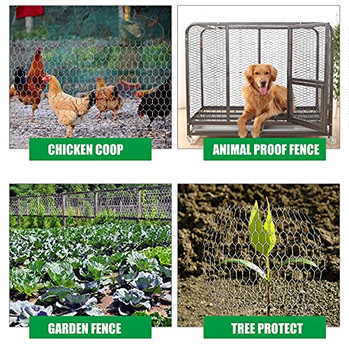 Chicken Wire Fencing, 2ft x 150ft Hexagonal Galvanized Chicken Wire Mesh Fence 2 Inch Mesh Fence Poultry Netting Animal Barrier for Craft Projects Gardening Chicken Coop Rabbit Pet - size: 2ft x 150ft