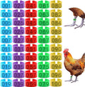 100 Pcs Numbered Chicken Leg Bands, Multi-Color for Poultry | Numbered 1-100 in 10 colors. Fits chickens, ducks, quails, pigeons, birds. Snap-on plastic ID bands for easy identification.