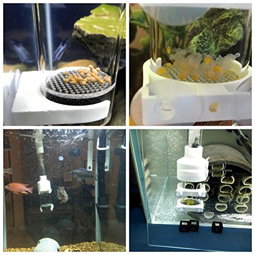 Aquarium Cichlids Fish Egg Incubator Tumbler Fish Hatchery Mouth-Brooding 50mm