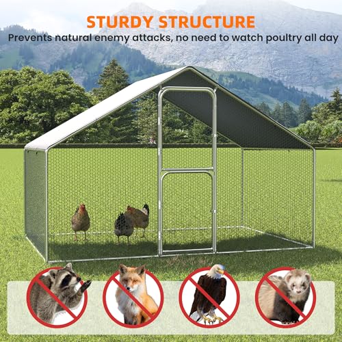 Large Metal Chicken Coop Walk-in with Double Locking Doors, Heavy Duty Outdoor Chickens House with Waterproof Protective Cover, Predator-Proof & Weather-Resistant Enclosure，Metal G，6 * 10 * 6 FT | Double Feed Door UV-Resistant Cover Heavy Duty Outdoor Cag