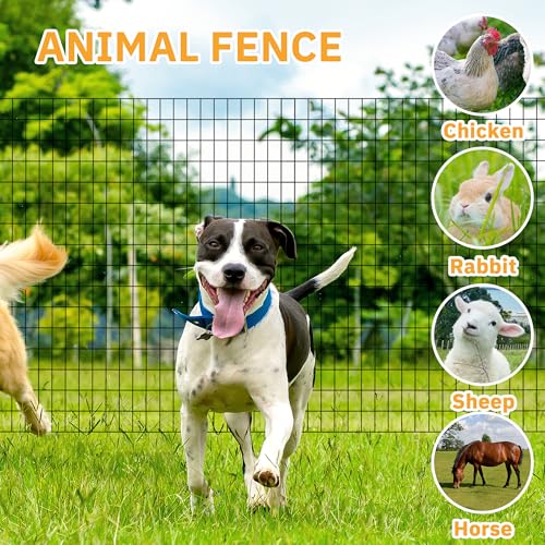 Black Metal Garden Fence, 60inch(H) x 100ft(L), 2 inch x 3 inch,14GA 2/3/4/5/6 Ft Tall Chicken Wire PVC Coated Welded Wire Mesh Roll for Dogs Border Yard Vegetable Plant Protection Poultry Netting - color: Black, size: 14GA 2x3 60"x100'