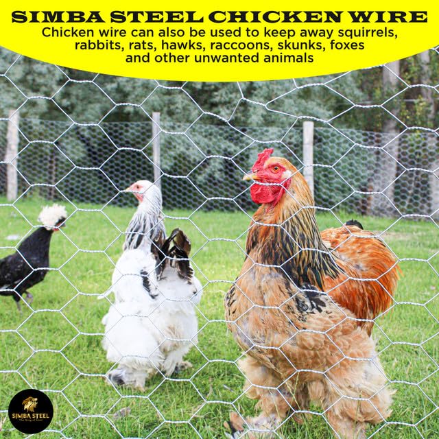 Chicken Wire 48 in x 100 FT x 2” Mesh x 20GA | Poultry Wire Netting | Hot Dipped Galvanised | Hexagonal Galvanized Mesh for Chicken Coop, Rabbit Cage, Fence Barrier PM48x100x2 - style: 48 in x 100 FT x 2 in