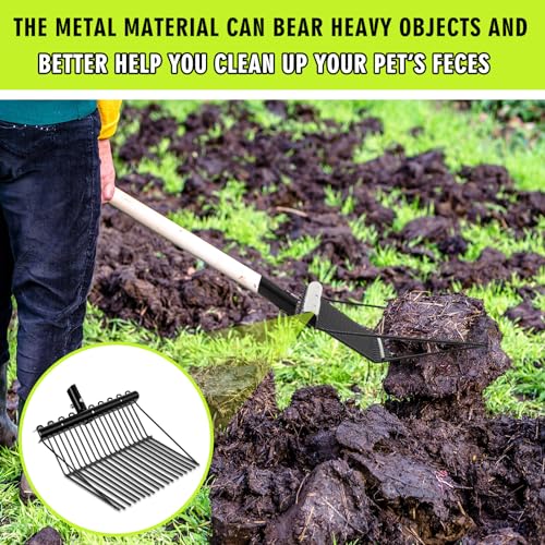 Tandefio 2 Pack Manure Fork Replacement Head Metal Pitchfork Horse Manure Rake Garden Pitch Fork Replacement Head with Angled Tines for Horse Stall Poop Picking up(Black) - color: Black