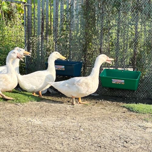 Large Feed Trough and Goat Feeder - 2 Pack Hanging Feeder with Clips, Waterer Bucket, Fence Feed Trough, Goat Supplies, 10 Quart - color: Greener