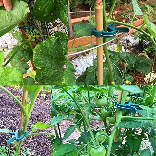 Yinghezu 40 Pcs Plant Support Clips,Tomato Plant Clips 2 Sizes in one Pack | Flower and Vine,Garden clips for Supporting Stems,Vines Grow Upright Climbing,Tool for Straightening,Tomato Cage,Trellis. - size: 40 PCS (20 small + 20 large)