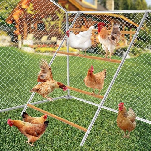 Chicken Perch for Coop, Roosting Bars- for Chickens&Ducks&Geese&Pigeons, Chicken Perches, Perfect for Backyard&Farm Poultry- Easy to Assemble and Clean(55''L x 40''W)
