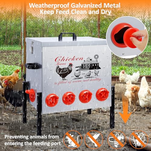 100LB Large Automatic Chicken Feeder–10 Feeding Ports No-Waste Galvanized Metal Chicken Feeder with Adjustable Legs & Locking Lid Poultry Feeder for Chickens,Geese,Ducks,Waterproof
