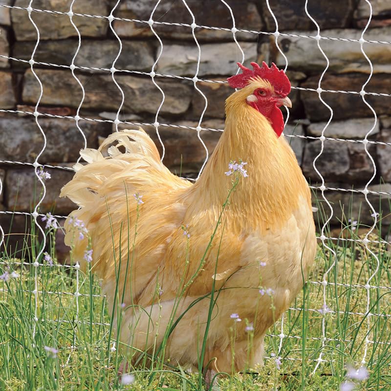 Premier 1 PoultryNet® Plus, Electric Fence for Chickens – 42"H x 100'L | White/black, double spike. Posts every 6.8 ft to reduce sag. For chickens, ducks & geese. Energizer sold separately. - style: White/Black