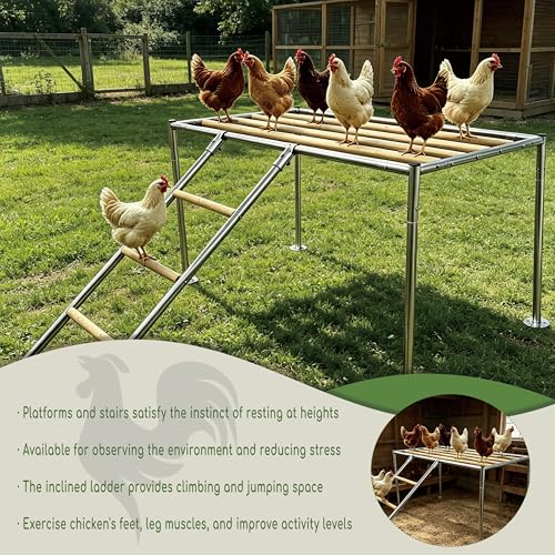 XCL Chicken Roosting Bars Large, Chicken Perch for Coop,Metal Frame Wood Chickens Perch for Backyard Poultry Roosting, Easy to Assemble Clean, Farm Chicken Toys, Accessories (Platform 42" L x 24" W)