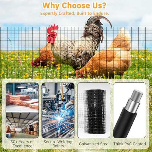 PVC Coated Welded Wire Fencing,2"x2" 14GA Coated (16GA Bare),24inch H x 100ft L Garden Wire Fence Roll,2/3/4/5/6ft Tall x 100 ft Long Vinyl Coating Metal Wire Mesh for Yard,Farm,Dog,Vegetable - color: Black, size: 14GA 2x2 24"x100'