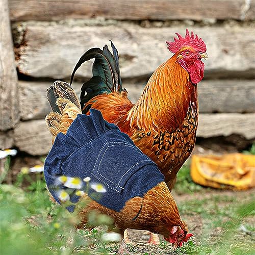 5 Pcs Chicken Saddle Hen Apron with Elastic Straps Denim Hen Feather Protector Jacket Hen Care Supplies