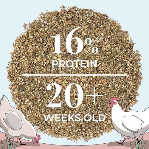 Mile Four Organic Chicken Feed, Layer Mash, Non-GMO, USA Grown 23 lbs | 16% Protein; Corn & Soy-Free; USA Grown; Non-Medicated; No Fillers or Additives; Supports Egg Production; Family Farm Sourced - size: 23 Pound (Pack of 1), style: Mash