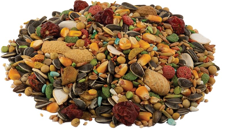 Wild Harvest Advanced Nutrition Parrot 8 Pounds, Seed, Grain and Vegetable Mix (Pack of 2) - size: 8 Pound (Pack of 2)