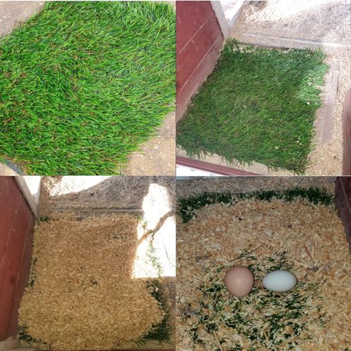 8PCS Chicken Nesting Pads for Laying Eggs,Washable Nest Box Pads Reusable Grass Mat Green Artificial Chicken Coop Liner Bedding for Hen,Chick,Duck - color: Green