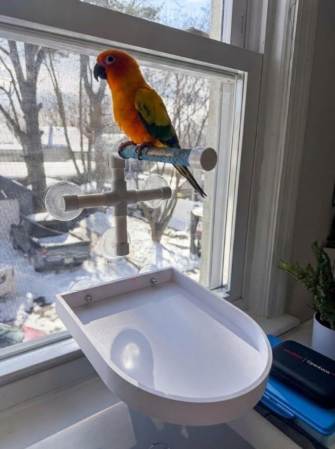 CleanPerch™ Bird Food Waste Catcher Tray with Suction Cups. Half Stadium Shape That attaches to Windows. Reduces Scatter, Easy-Clean, and Low-Profile (White, 9" x 11.5" x 3.7) - color: White, size: 9" x 11.5" x 3.7"