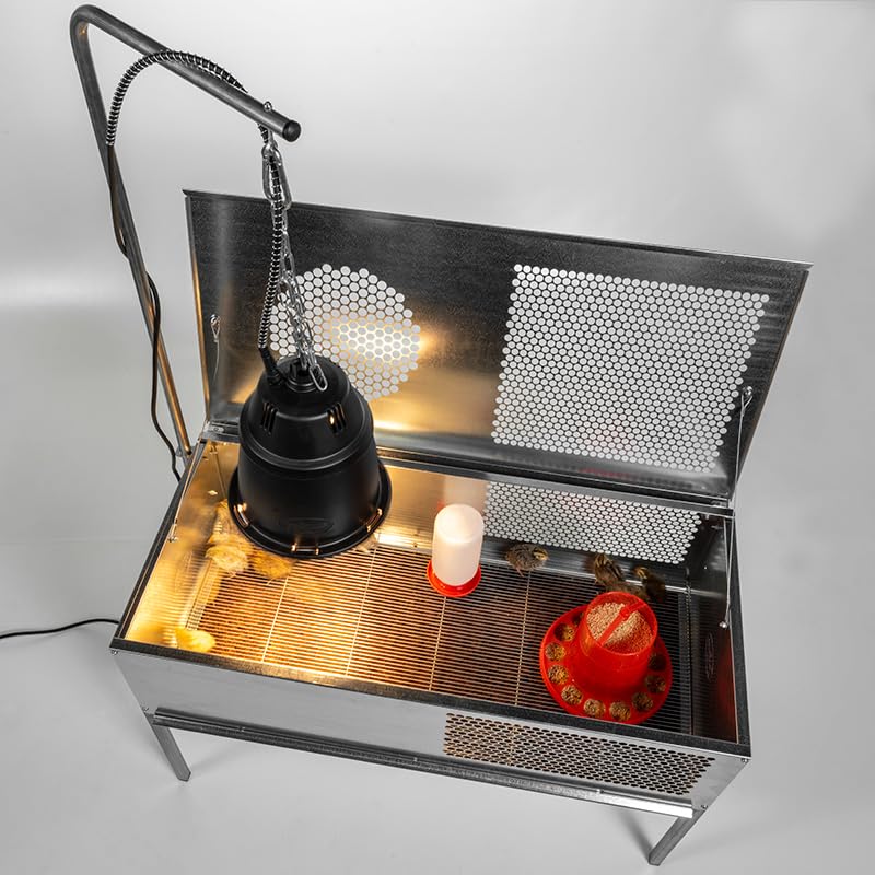 Premier 1 QuikClean Chick Brooder – Hinged Lid & Removable Collection Tray | Hinged lid, removable collection tray. Slotted wire floor. Broods chicks up to 5–6 weeks. Add-your-own heat source.
