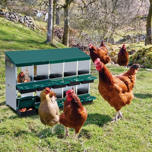 Chicken Nesting Boxes,10 Compartment Metal Roll Away Nest Box for Chicken Coop,Chickens Laying Egg, Lid Cover to Protect Eggs,Easy Egg Collection,Cleanable Pull Out Hen Roosting Boxes - color: green, size: 10 holes