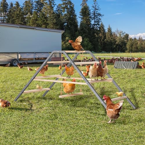 PETSFIT Chicken Perch, Solid Wood & Rustproof Iron Roosting Bar with Swing | Fits 10-12 Chickens, Promotes Natural Exercise, Easy to Assemble and Clean, Backyard Coops and Farms, All-Weather Outdoor Use - size: 62"Lx24"Wx28"H