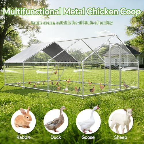 10 x 19.7 x 6.4 FT Metal Chicken Coop, Chicken Run with Cover | Walk-in Metal Chicken Coop, Side Hardware Cloth, Waterproof Cover, Roosting Perch, reinforced frame, Backyard & Farm Use - size: 236.2"L x 157.5"W x 78.2"H