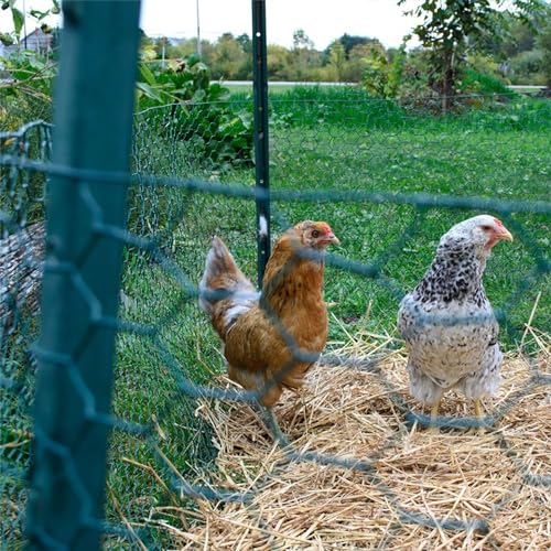 YardGard Galvanized PVC Coating Hexagonal Poultry Netting for Confinement and Support of Animals, Plants, Soil or Compost Materials, Green