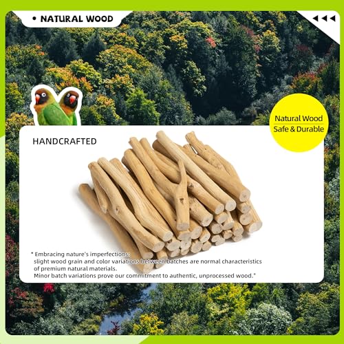 Bird Perch for Top of Cage, Natural Wood Play Stand