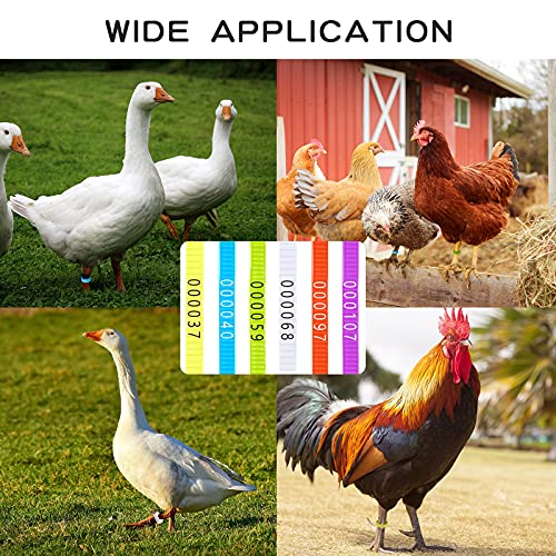 Shappy 120 Pcs Chicken Leg Bands 6 Color Adjustable Poultry Identification Rings, Numbered 1-120 Self-Locking Ankle Rings for Chicken, Turkey, Duck, Goose, Bulk for Farm Management Wire Organizing