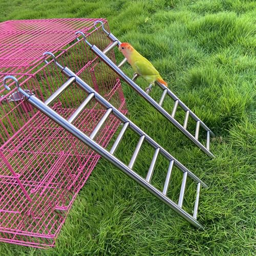 2Pack Stainless Steel Bird Ladders 9-Step Parrot Ladder Hanging Bird Cage Climbing Toys with Hooks Birds Exercise Toy for Parakeets, Parrots, Cockatoo，Rust-Resistant and Easy to Clean - color: 2 PCS