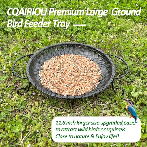 CQAIRIOU Upgraded Ground Platform Bird Feeder Tray,11.8” Stainless Steel Large Bird Feeder Mesh Seed Tray with A Exquisite Tray Station,Attract Wild Birds,Great Decoration for Garden Backyard - size: Ground Bird Feeder Tray