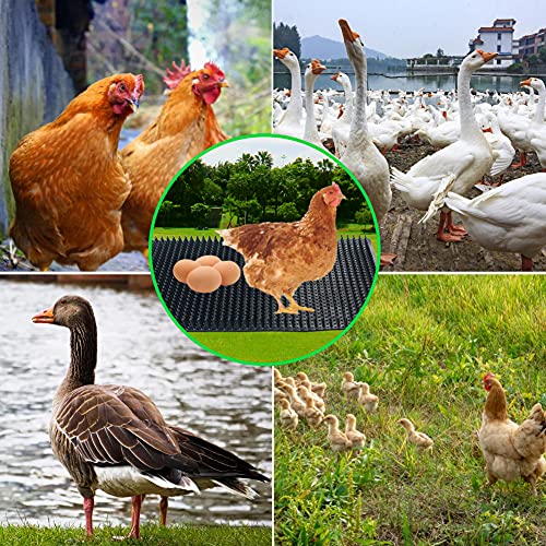 Washable Chicken Nesting Pads 6 Pack Chicken Coop Accessories, Pad for Duck, Chicken Coops Nesting Boxes, Cuttable and Reusable Egg Laying Mats for Coops Hen House Poultry Eggs Protecting, 14"x11.8"