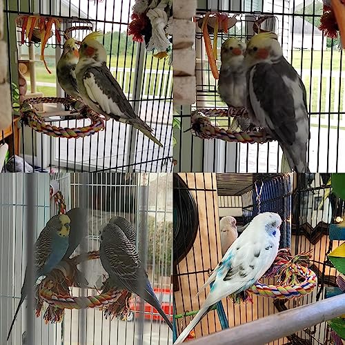 7" Bird Mirror with Rope Perch, Medium | Bird Swing, For Parakeet Budgie African Grey Conure Cockatiel Lovebird Finch Canarie, Parrot Cage Toy - size: Medium