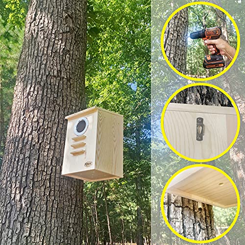 Squirrel Nest Box - Cage Attachment, Hinged Lid, Perching Ledge - for Squirrels, Sugar Glider, Rat, Finch, Parakeet, Lovebird, Canary, Cockatiel, Other Birds & Small Pets - size: Extra Large