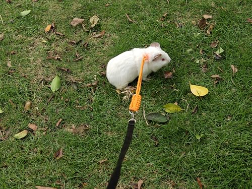 GOMICRAFT Handmade Figure 8 Harness and Leash for Ferrets/Guinea Pigs/Rats | Adjustable, Lightweight & Safe | Fits Small Animals: Bunnies/Bearded Dragons/Chinchillas/Reptiles/Birds/Squirrels/Rabbits