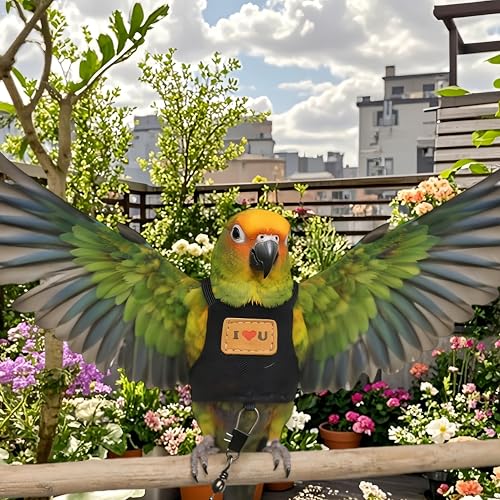 Bird Flight Harness Vest, Parrot Flight Suit with Leash Adjustable Bird Flying Clothes Outdoor Training Traction Rope for Parakeets Cockatiels Conures Budgies Cockatiel-Black,L - color: Black