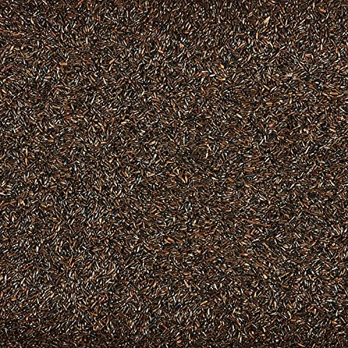 Kaytee Nyjer Seed for Finches & Other Wild Birds, 5 Pounds | Less mess. Finch bird seed for small songbirds. No hulls, 100% edible, bird seed for outside feeders - size: 3 Pound (Pack of 1), style: 3 Pound Bag