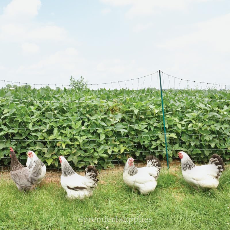 Premier 1 PoultryNet® Plus, Plug-in Starter Kit for Chickens – 48"H x 100'L | Green/black. Plug-in energizer & cable, support posts & tester included. Double spike, posts every 6.8 ft to reduce sag. - color: Green/Black