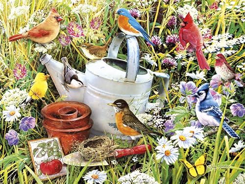 Ceaco - Garden Birds - 500 Piece Jigsaw Puzzle for Adults | Art by Greg Giordano, Made in USA, Includes Poster, Giftable, Frameable