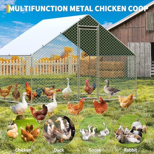 Large Metal Chicken Coop, Large Chicken Pen, Chicken Runs for Yard with Waterproof and Anti-UV Cover, Duck Rabbit House Outdoor (9.8'L x 6.5'W x 6.5'H) - size: 118.1"L x 77.2"W x 78.4"H