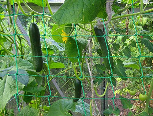 Trellis Netting for Climbing Plants - Heavy Duty Garden Trellis Netting for Cucumber, Vine, Fruits & Vegetables Tomato Plants Trellis Net, Climbing Vining Plants (1-Pack 8.2' x 6.6'Ft) - size: 8.2' x 6.6'Ft